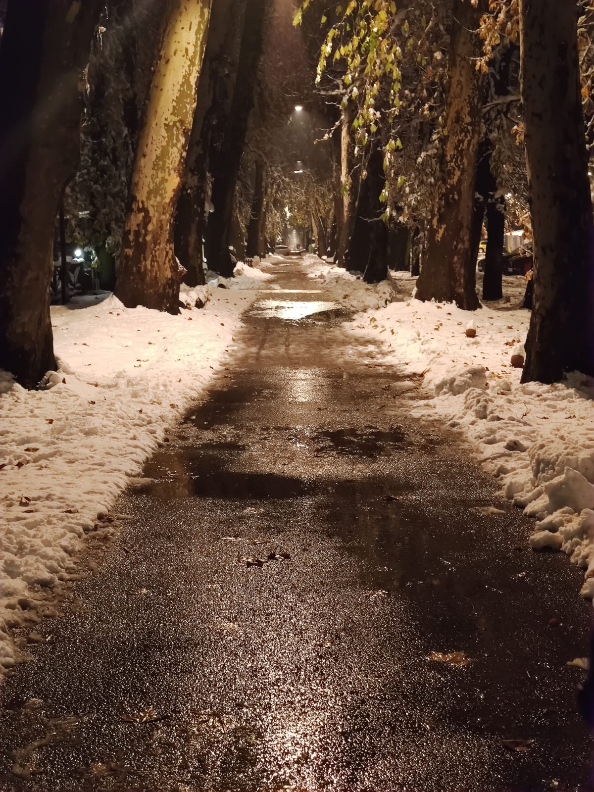 Ekibimiz Üyesi Kemal Čavušević